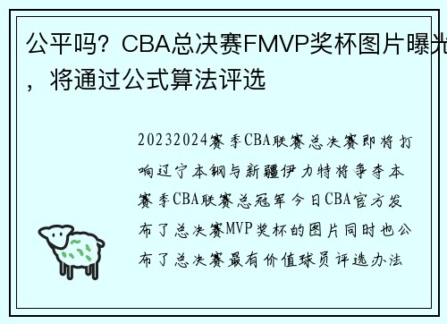 公平吗？CBA总决赛FMVP奖杯图片曝光，将通过公式算法评选